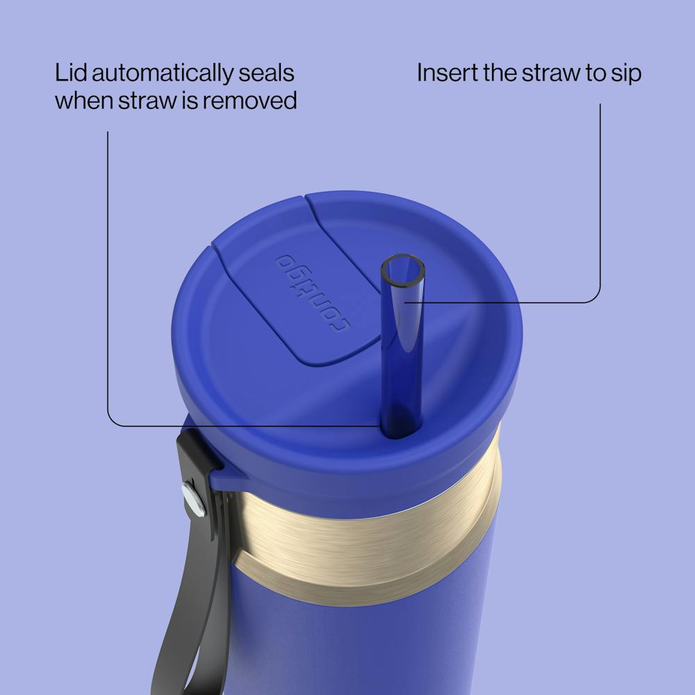 24oz SnapSeal™ Bottle N3 - Wild Indigo Champagne